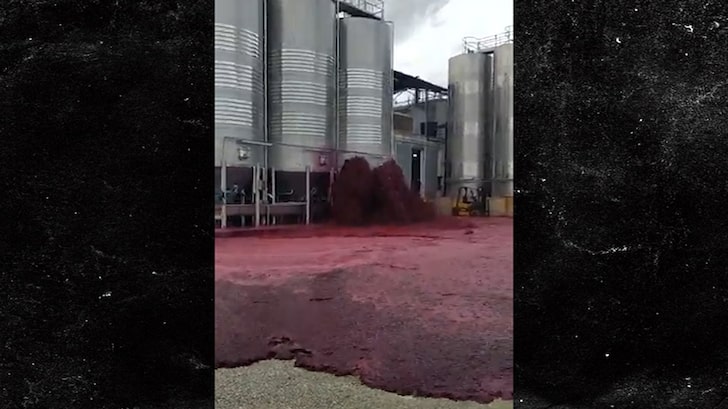 Damaged Container Spills 50,000 Liters of Red Wine in Spain