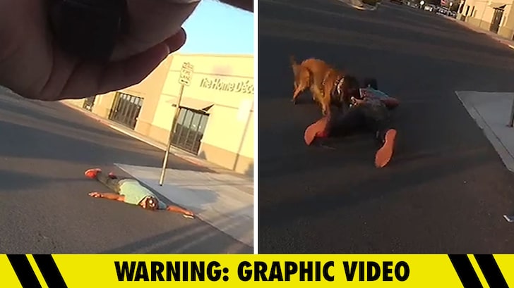 Arizona Cops Release Body Cam Footage Showing Brutal Use of K-9 Force