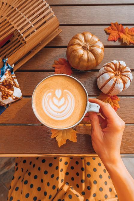 25 Fall Instagram Captions Your Followers Will “Fall” In Love With