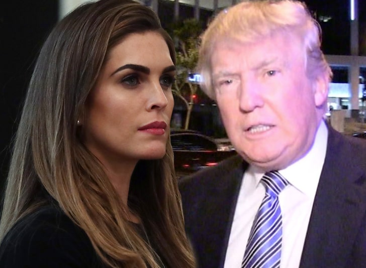President Trump Aide Hope Hicks Reportedly Tests Positive for COVID