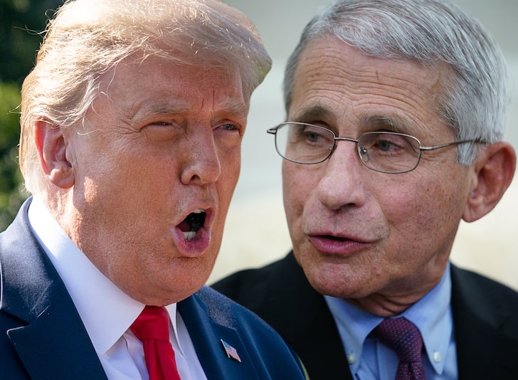 Donald Trump Says Fauci's Pitching Arm's Better Than His COVID Response