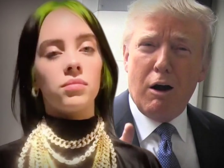 Billie Eilish Ripped in Leaked Trump Administration Doc, 'Destroying Our Country'