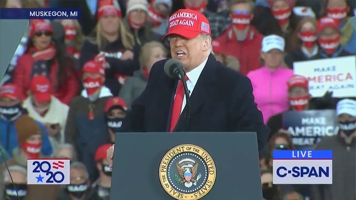Trump says at Michigan Rally, Pushing Around Protesters a "Beautiful Thing"