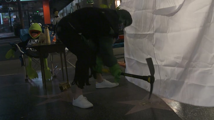 Donald Trump Star Vandal Arrested, Charged with Felony