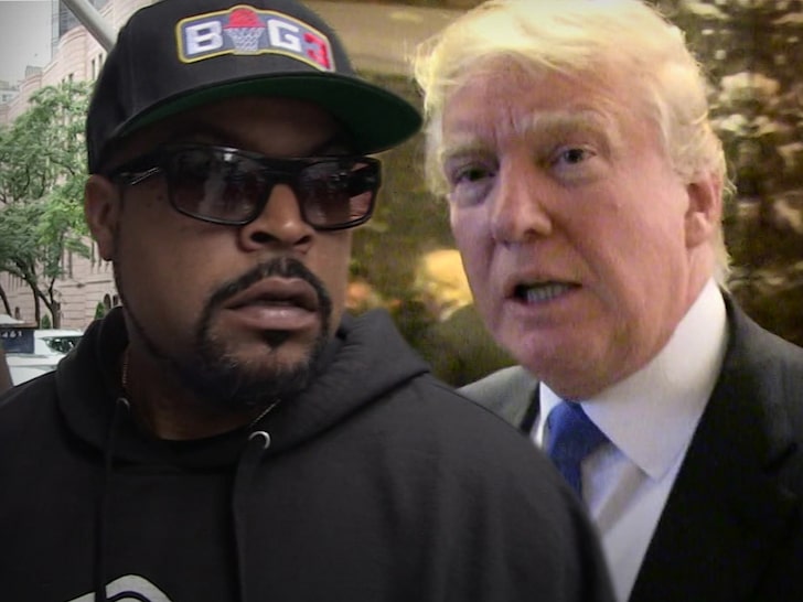 Ice Cube Clears Up Working with Trump on Contract with Black America