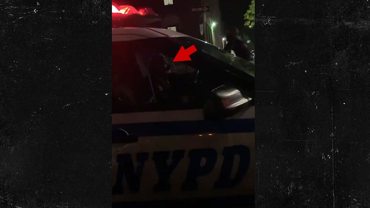 NYPD Cop Blasts 'Trump 2020' Over Car Loudspeaker