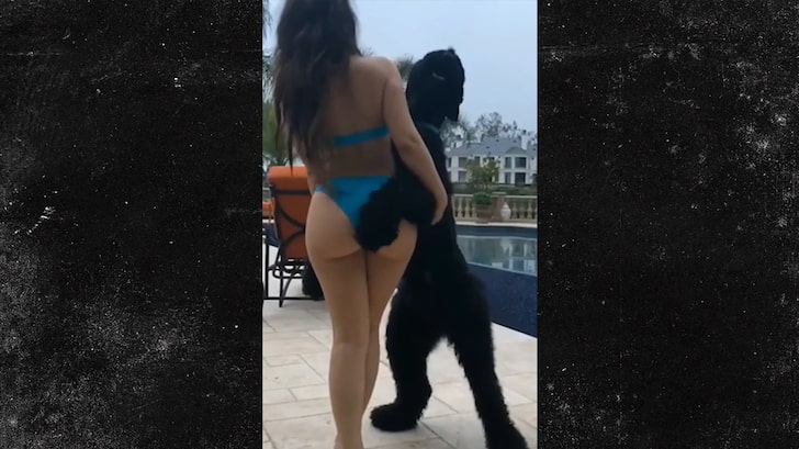 Instagram Model Deyana Mounira Sues Over Aroused Dog Photo Shoot