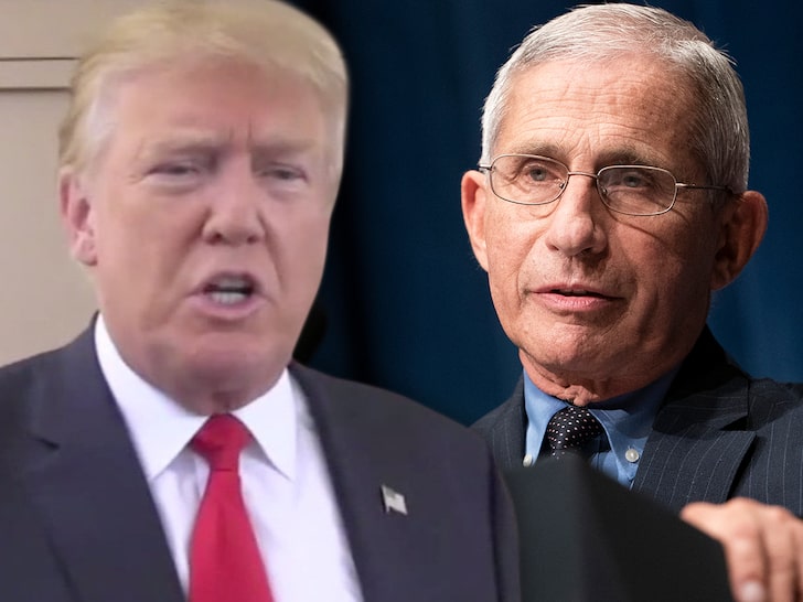 Trump Calls Dr. Fauci an 'Idiot' After Fauci's '60 Minutes' Interview