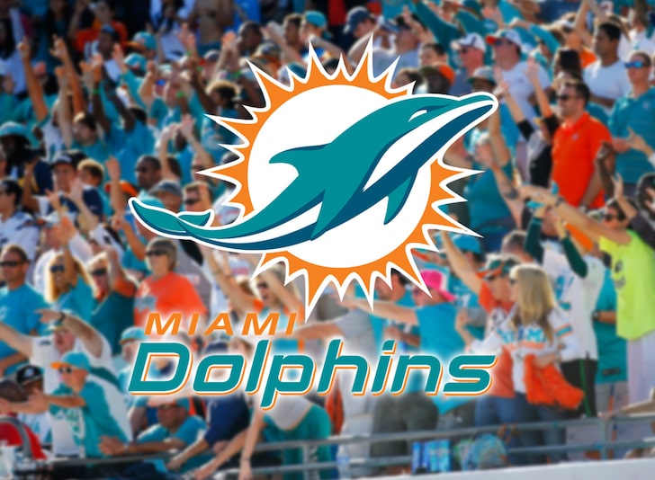 Miami Dolphins Get 'Full Capacity' Approval from Gov. for 65,000 Seat Stadium