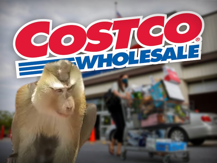 Costco Pulls Coconut Milk Brand Due to Monkey Labor Allegation