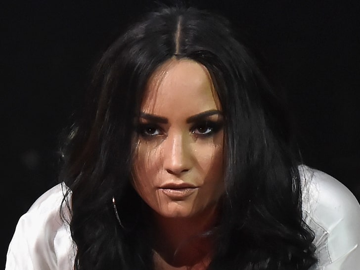 Demi Lovato Fires Back at Negative Comments Over Anti-Trump Track