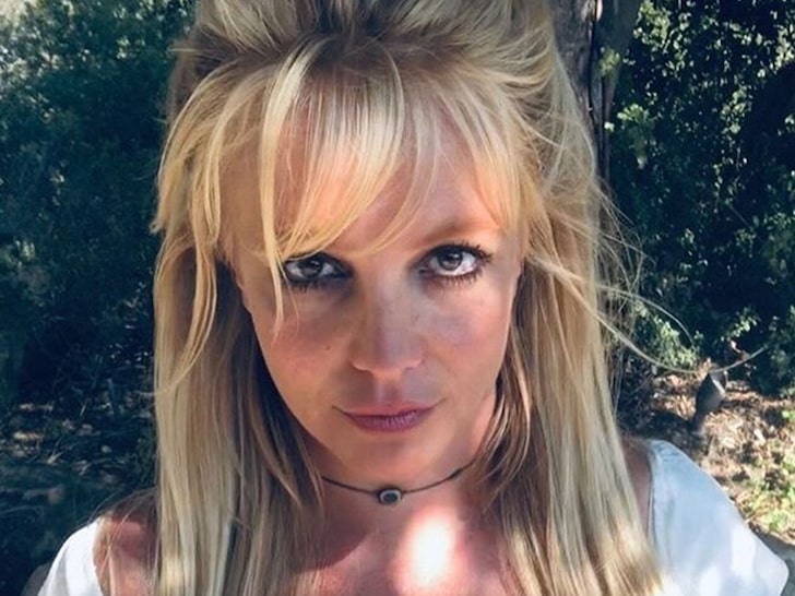 Britney Spears' Lawyer Likened Her Mental Capacity to Comatose Patient