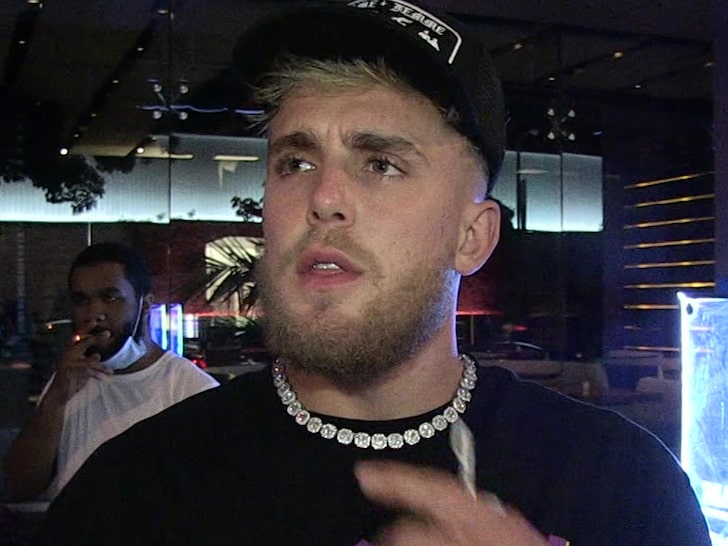 Jake Paul's Mansion Party Pisses Off Calabasas Mayor, Could Bite Him