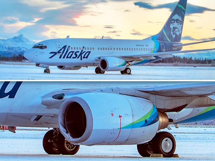 Alaska Airlines Plane Kills Bear While Landing