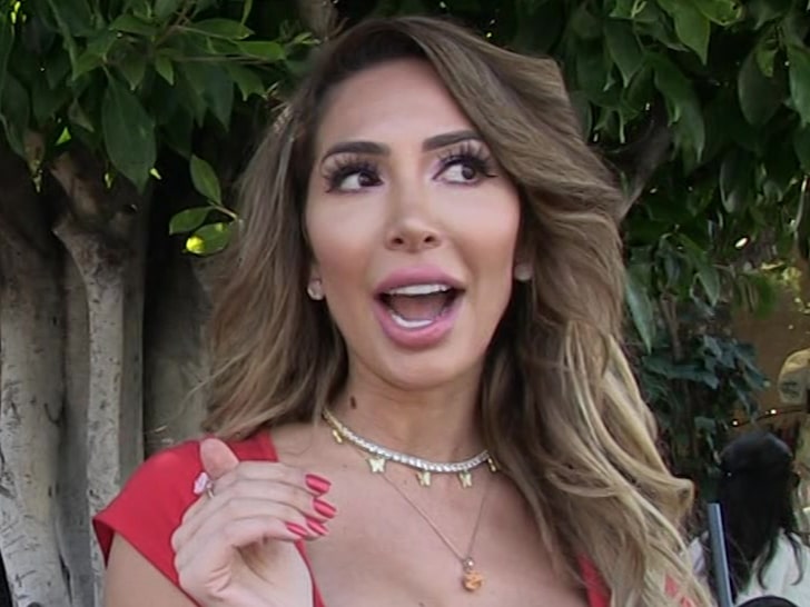 Farrah Abraham Off Probation Stemming from Beverly Hills Hotel Incident
