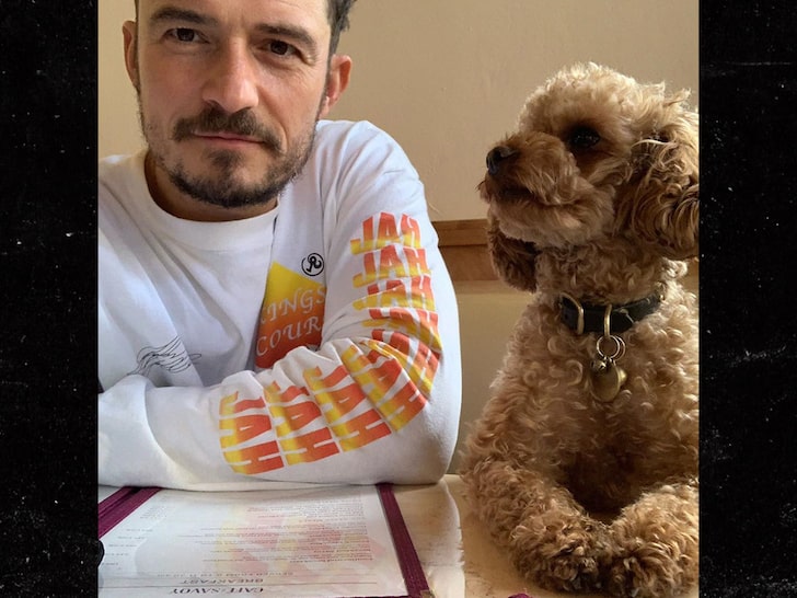 Orlando Bloom Shows Off New White Poodle