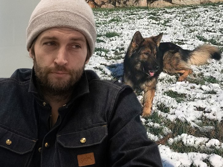 Jay Cutler's Reality Star Dog Goes Missing, QB Offers $1,000 Reward
