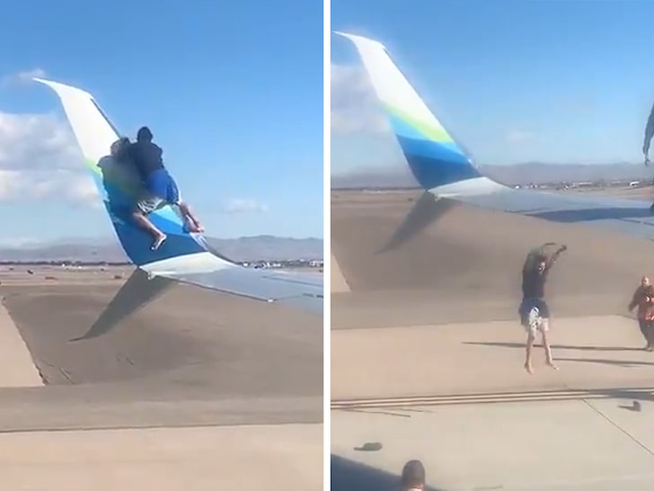 Vegas Man Arrested After Scaling Airplane Wing and Then Falling Off
