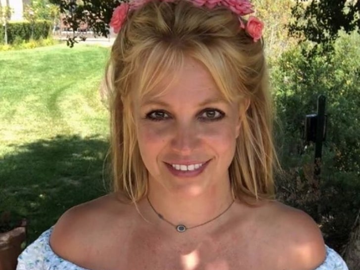 Britney Spears Had Early Christmas with Her Boys