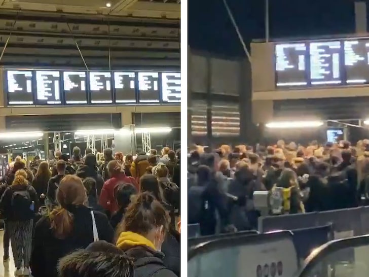 London Train Stations Jammed as New COVID Strain Overtakes UK