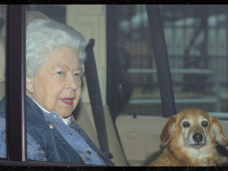 Queen Elizabeth's Dog, Vulcan, Dies