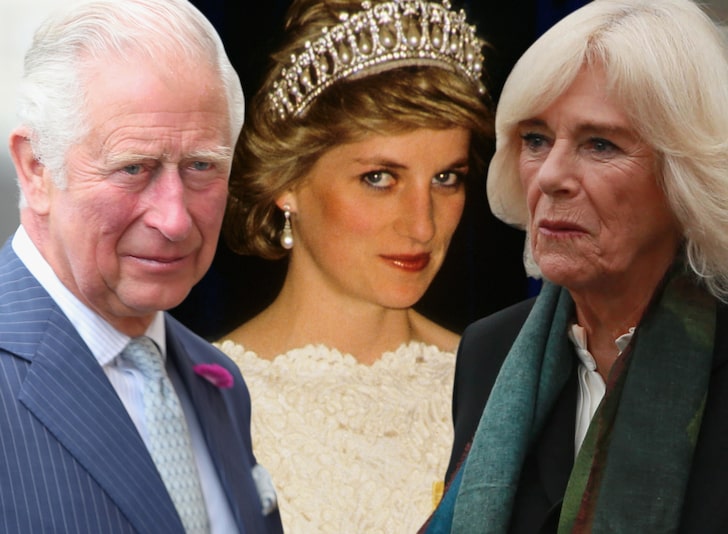 Princess Diana Fans Shade Prince Charles, Camilla's Christmas Card