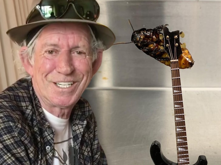 Keith Richards Gets Cockroach Named After Him for 77th Birthday