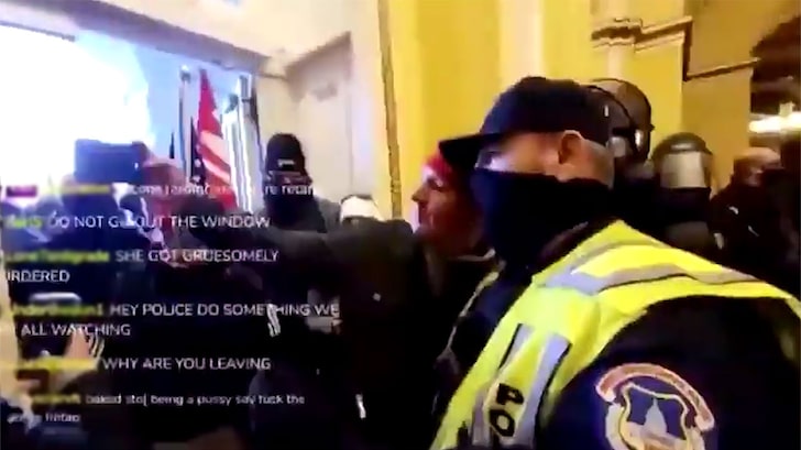Two Capitol Police Officers Suspended for Yucking It Up with Rioters
