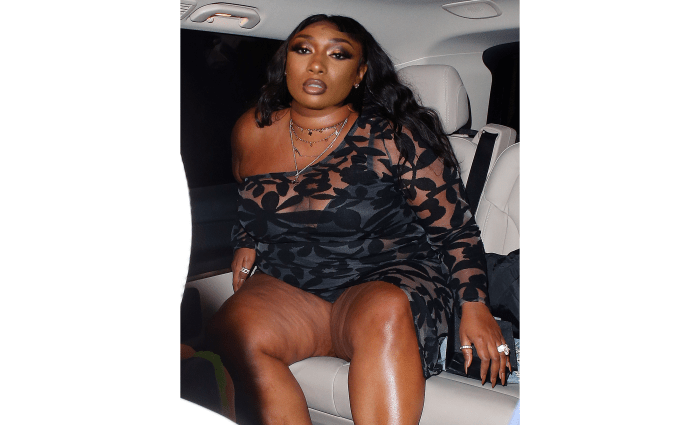 image shows what Megan might look like, if she grew to Lizzo's size