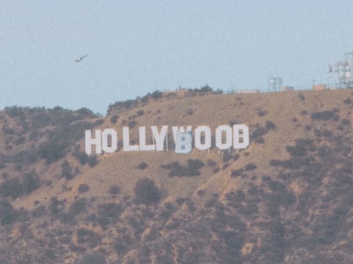 Hollywood Sign Altered to 'Hollyboob' for Illegal Breast Cancer Awareness Stunt
