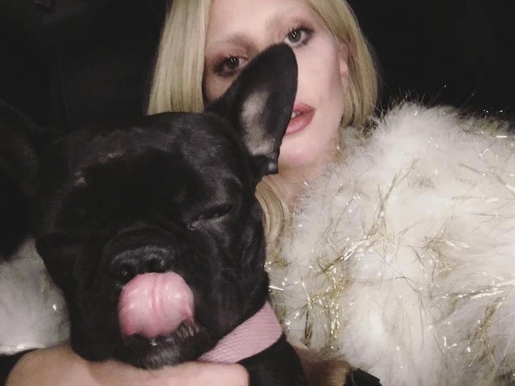 Lady Gaga And Her Dogs