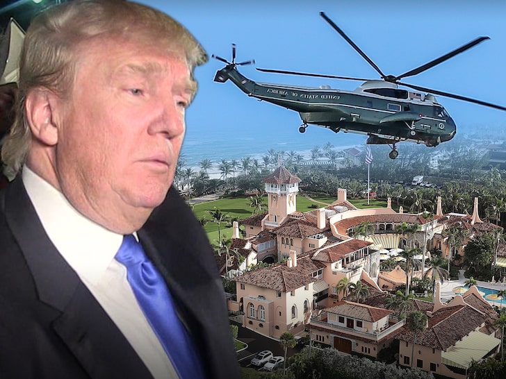 Donald Trump's Mar-a-Lago Helipad Being Removed