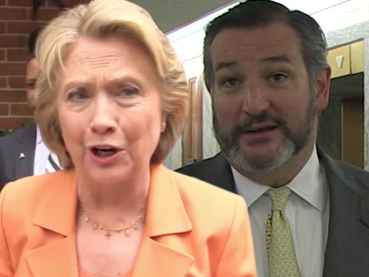 Hillary Clinton Takes Shot at Ted Cruz Over Dog Left In 'Freezing' Home