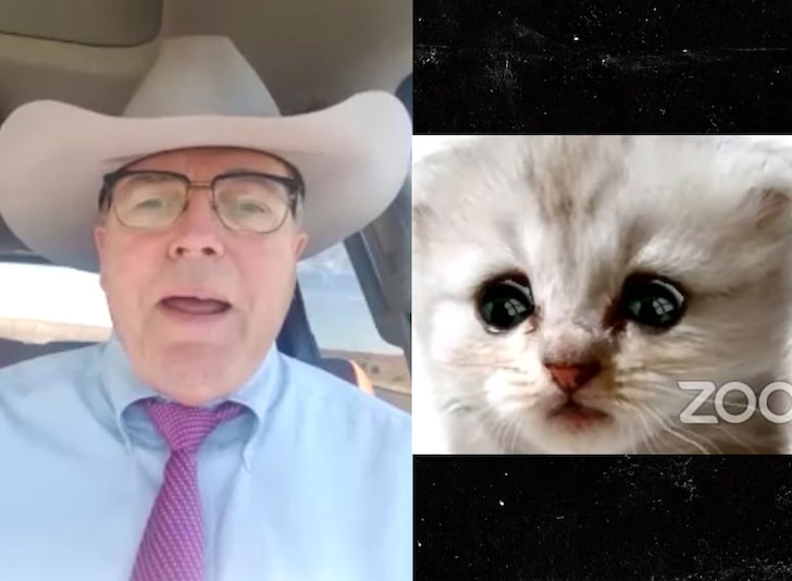 Zoom Cat Lawyer Says He's No Longer Embarrassed, Wants to Sell Merch
