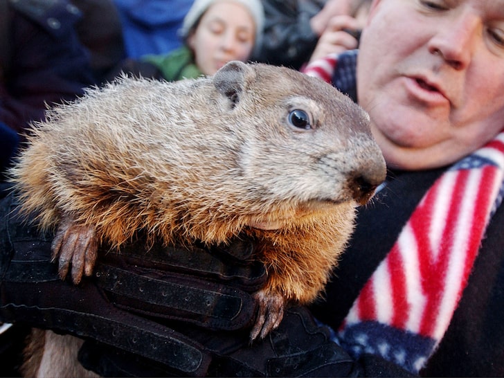 Punxsutawney Phil Predicts More Winter on Groundhog Day 2021