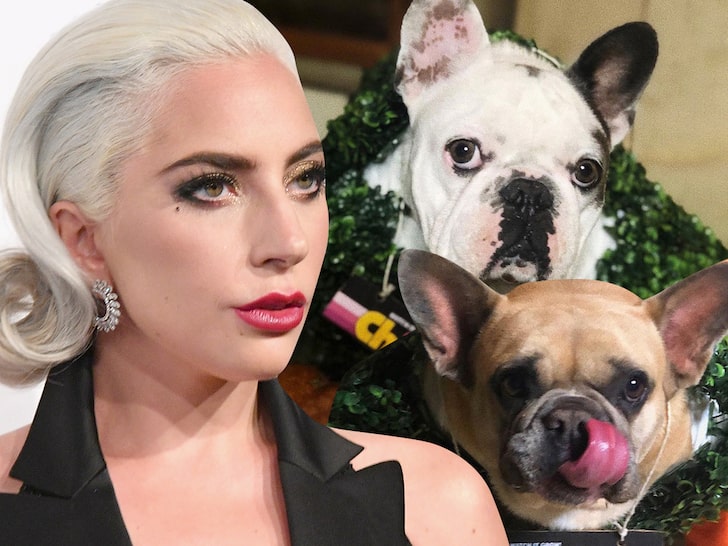 Lady Gaga Dognappers May Have Picked Singer as Ransom Target