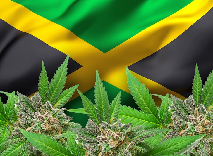 Jamaica Experiencing Marijuana Shortage Due to Drought and Pandemic