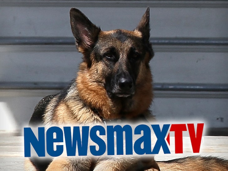 President Biden's Dog, Champ, Mocked & Called Ugly on Newsmax