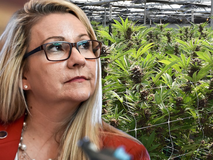 VA Senator Warns of Marijuana 'Overdoses & Deaths,' Legalization Nears