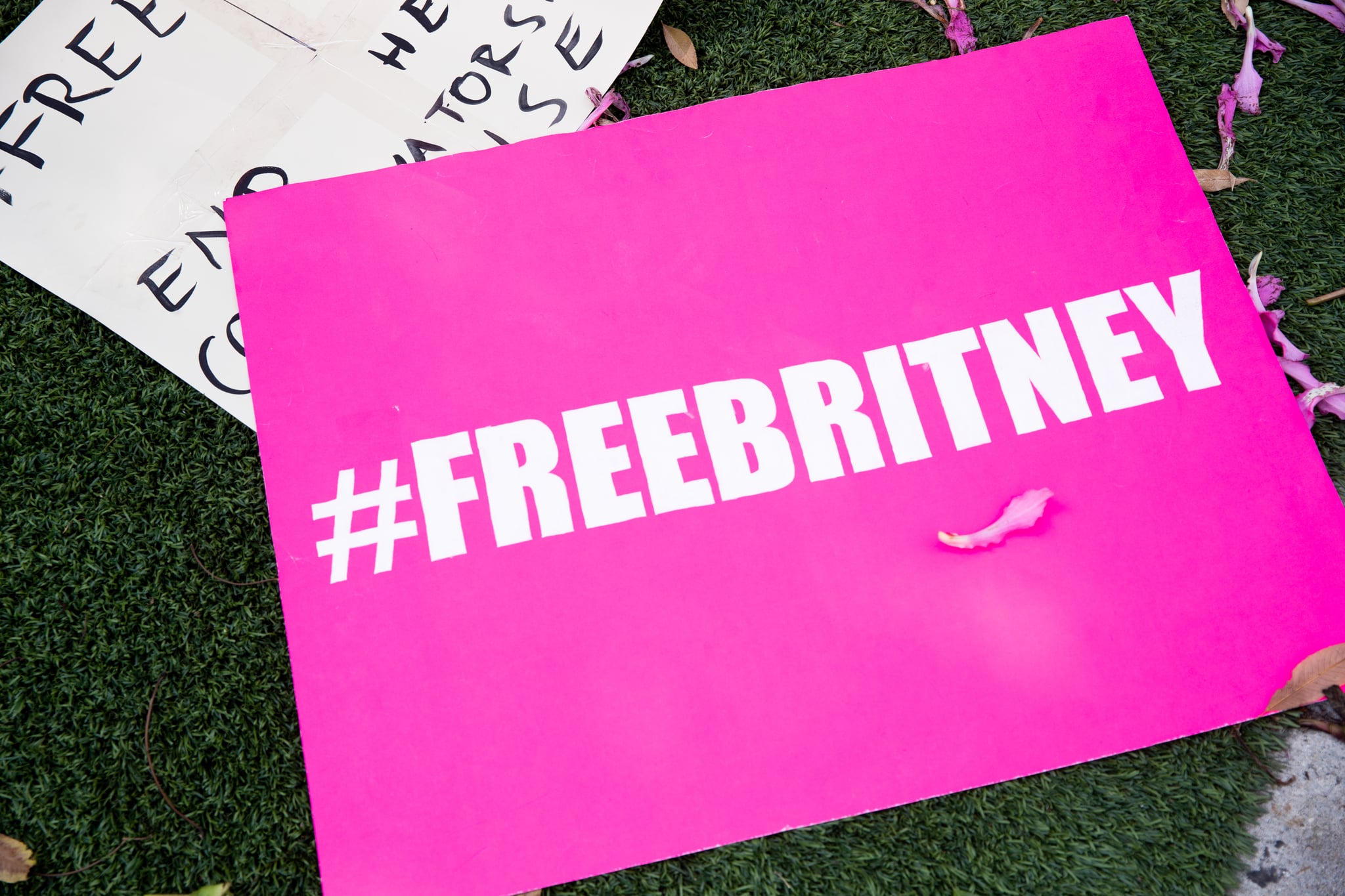WEST HOLLYWOOD, CALIFORNIA - SEPTEMBER 15: Signs in support of Britney Spears are seen during a #FreeBritney protest outside of the Tri Star Sports & Entertainment Group offices on September 15, 2020 in West Hollywood, California. (Photo by Rich Fury/Getty Images)