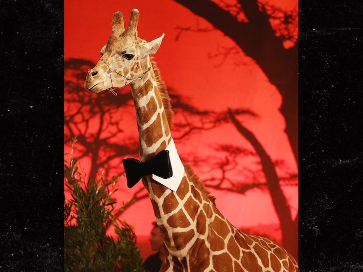 Stanley The Giraffe Seized As Evidence at Malibu Wine Safaris