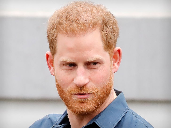 Prince Harry Helps Kids Cope With Loss in Children's Book Foreword