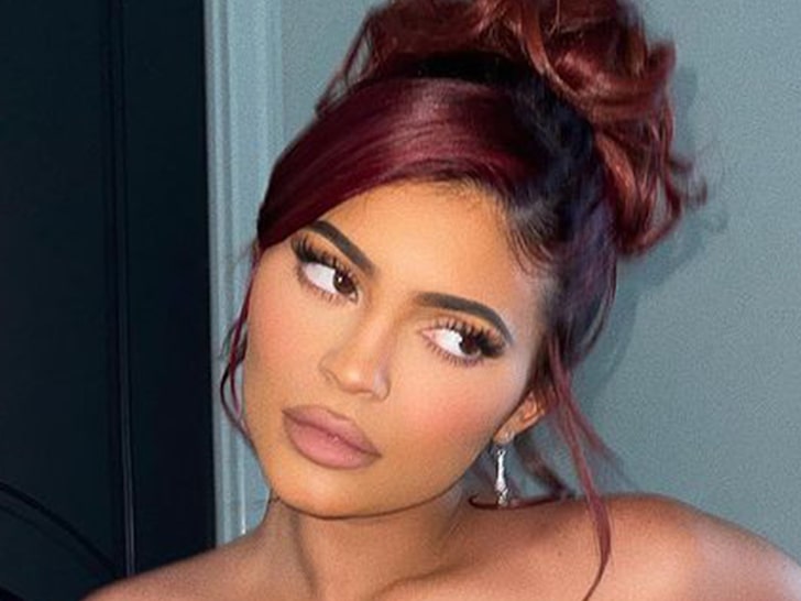 Kylie Jenner Catches Flak for Trying to Raise Money for Injured MUA