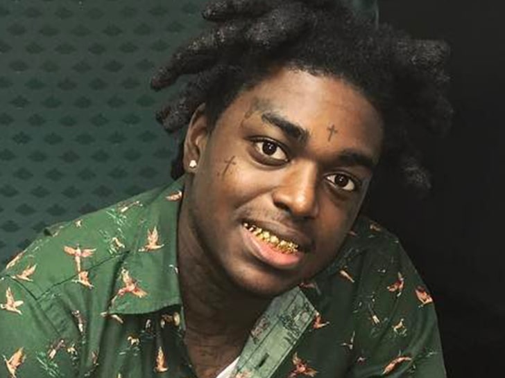 Kodak Black Granted Permission to Travel for Work While on Probation