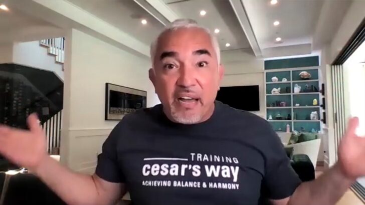 Cesar Millan Reaches Out to White House with Plan to Help Biden's Dogs