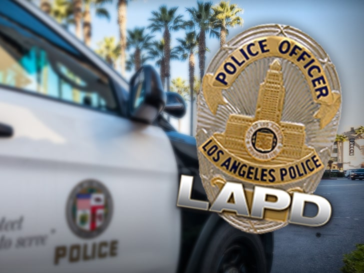 Loss of LAPD's RHD Sex Crimes Unit Hurts High-Profile Cases, Cops Say