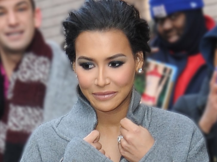 Naya Rivera Snubbed by Grammys, Excluded from 'In Memoriam' Tribute