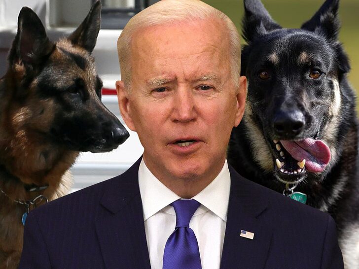President Biden's Dogs Booted From White House After Biting Incident
