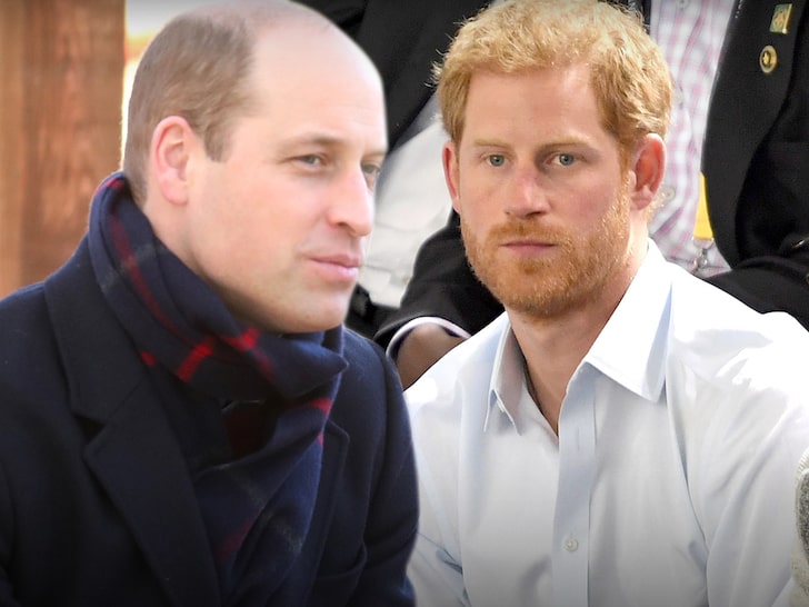 Prince William Worried His Talks with Harry Will Go Public, Lacks Trust