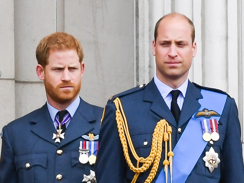 Open Communication? When Prince Harry & Prince William Will Meet Up in Person
